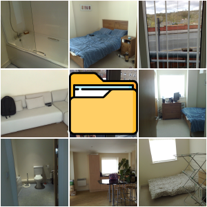 New Flat (2009)